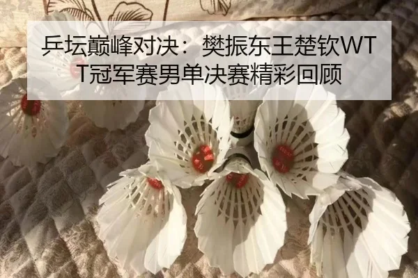 ping-tan-dian-feng-dui-jue-fan-zhen-dong-wang-chu-qin-guan-jun-sai-nan-dan-jue-sai-jing-cai-hui-gu-2-712.jpg