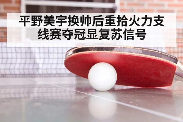 table tennis match close up